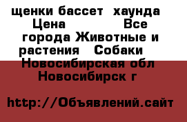 щенки бассет- хаунда › Цена ­ 20 000 - Все города Животные и растения » Собаки   . Новосибирская обл.,Новосибирск г.